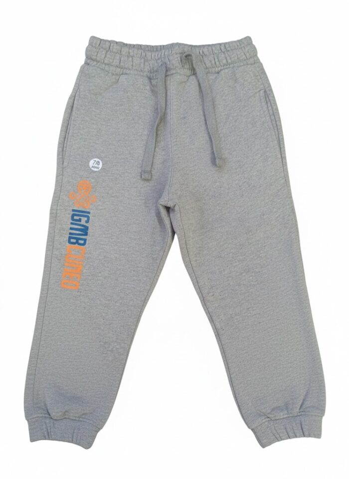 Pant IGMB 2026 Grey
